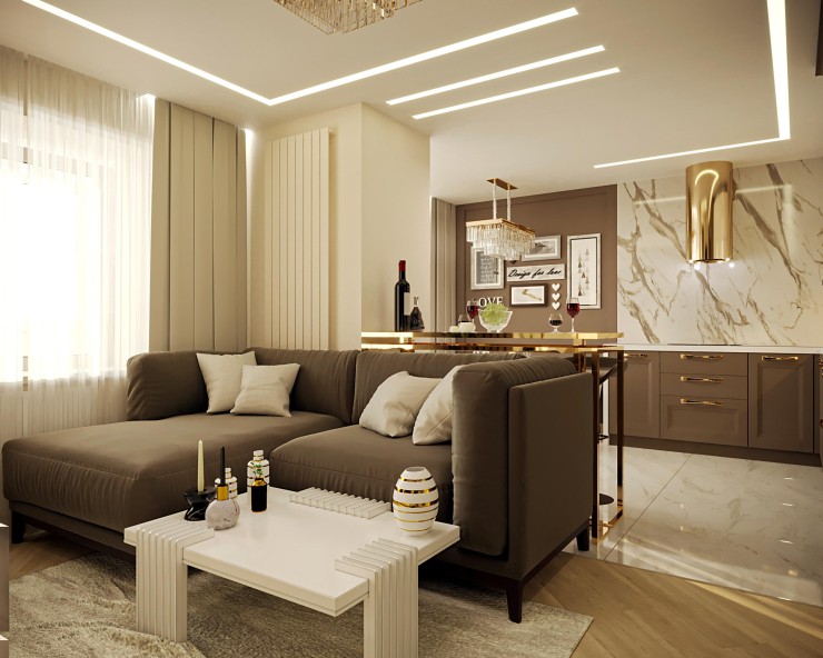 Кухня-гостиная