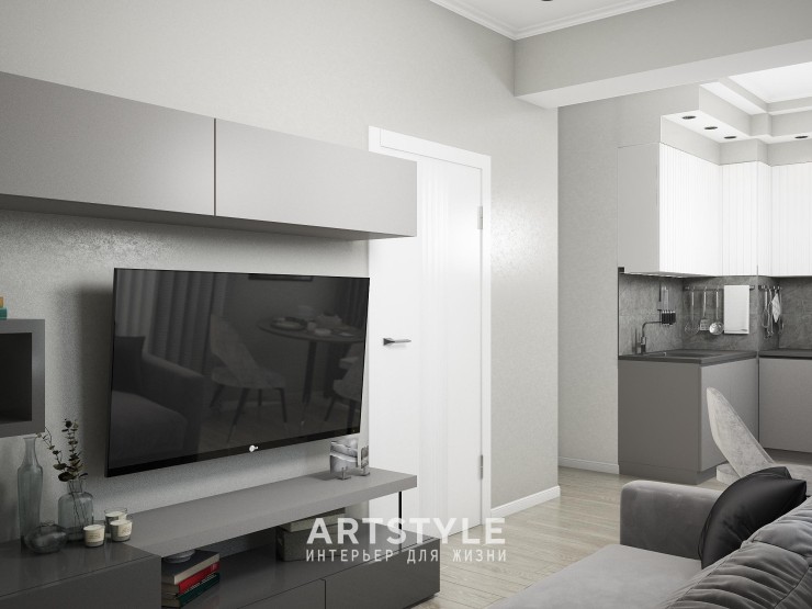 Кухня-гостиная