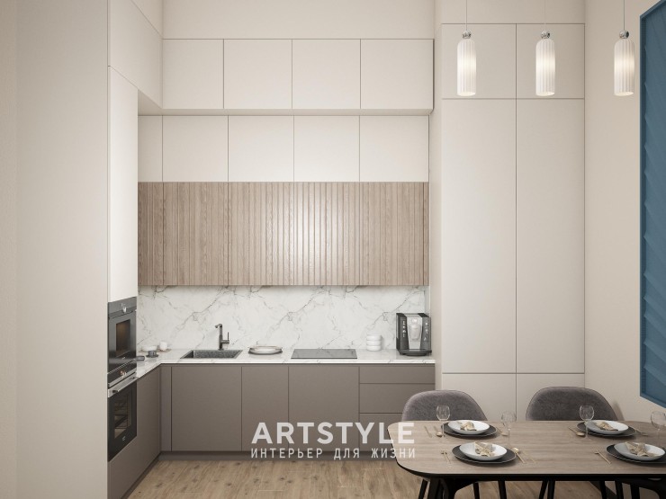 Кухня-гостиная