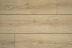 EL2170 Дуб Падуа Светлый