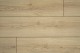 EL2170 Дуб Падуа Светлый
