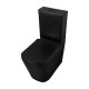 Унитаз-компакт Azario Black King 370х640х810 безободковый, с быстросъемным сиденьем микролифт, черный матовый (AZ-8303D)