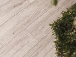 Kauri Wood