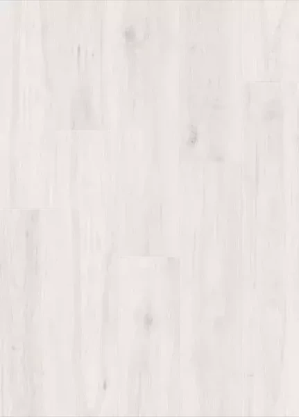 Дуб зимний IMU8465